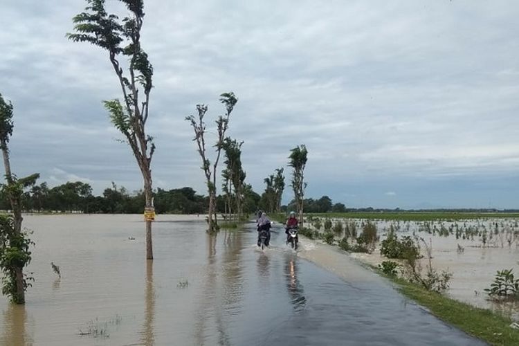 Sawah tergenang air karena banjir di Desa Kanorejo, Kecamatan Rengel, Tuban, Jawa Timur