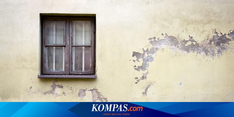 Jangan Remehkan Keretakan Dinding  Kenali Penyebabnya 