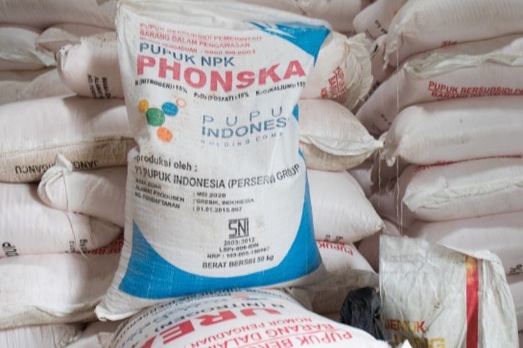 Kementan akan berikan subsidi pupuk bagi petani di Probolinggo, ilustrasi pupuk NPK Phonska.