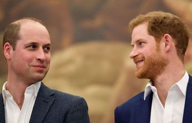 Pangeran William (kiri) dan Pangeran Harry (kanan).