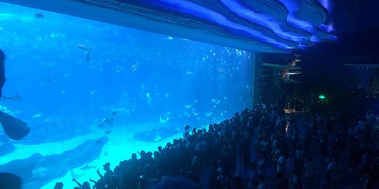 Ilustrasi Chimelong Ocean Kingdom, akuarium terbesar di dunia.