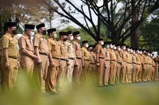 Pengangkatan CPNS dan PPPK Ditunda, Ini Tanggapan Guru Besar UGM