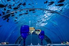 Maladewa Punya Restoran Bawah Laut Terbesar di Dunia