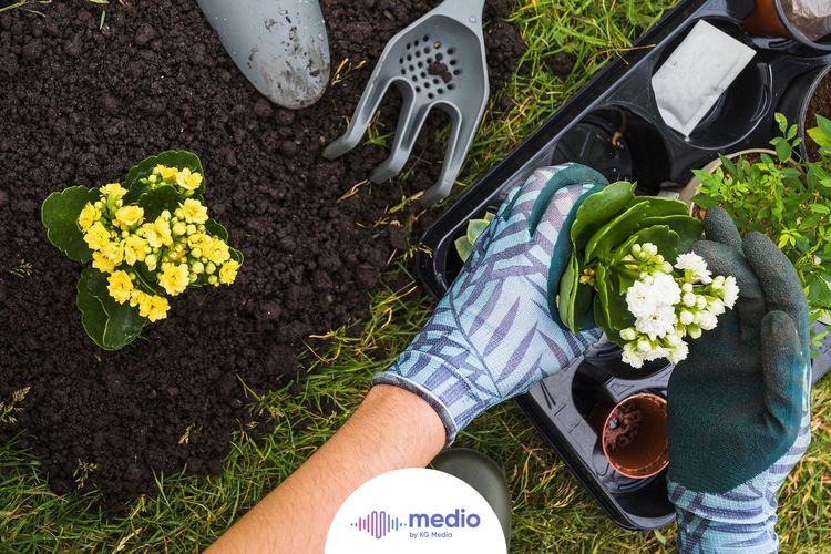  Libur akhir pekan adalah waktu yang tepat untuk berkebun.