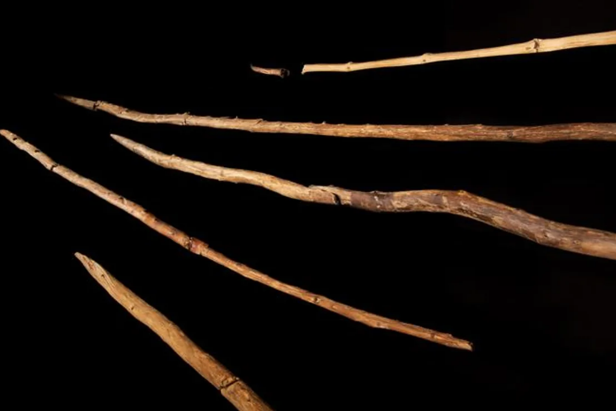Perkakas kayu berusia 300.000 tahun yang ditemukan di Jerman