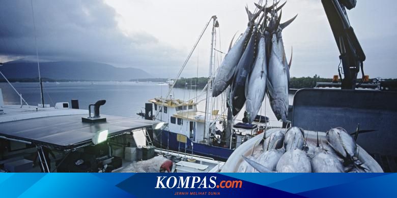 Ada Larangan Ekspor Ke China Kadin Minta Eksportir Perikanan Tak Khawatir Halaman All Kompas Com