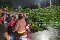 Hujan Disertai Angin Kencang di Pulogadung, Pohon Tumbang Tutup Akses Jalan
