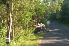 Buang Muatan Sampah di Pinggir Jalan Bantul, Sopir Diminta Angkut Lagi Buangannya