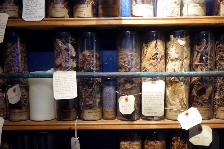 Ilustrasi koleksi herba yang ada ada di Museum of Witchcraft and Magic di Inggris.