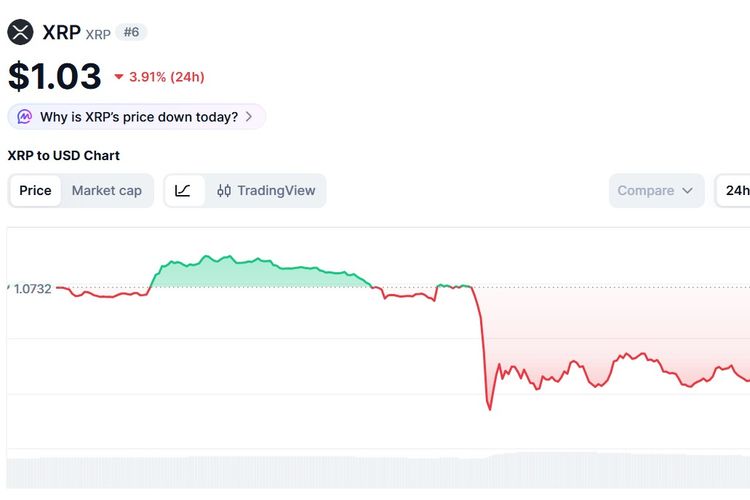 Harga XRP Hari Ini 26 Juni 2026, Jeblok Imbas Melemahnya Pasar Kripto