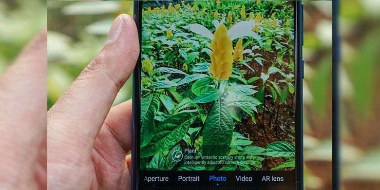 Contoh hasil jepretan kamera belakang nova3i dengan AI. Kamera langsung mengidentifikasi objek dan menerapkan pengaturan yang paling sesuai. (KOMPAS.com / OIK YUSUF)