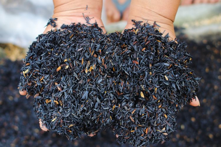 Ilustrasi arang sekam. Arang sekam dapat dimanfaatkan untuk tanaman, salah satunya adalah sebagai media tanam. 