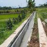 Tingkatkan Produksi Pertanian di Seberang Kapuas-Kalbar, Kementan Lakukan RJIT