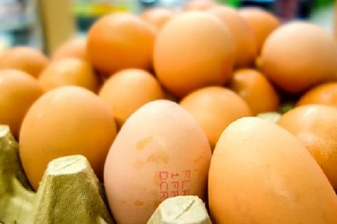 Telur Tercemar Fipronil di Eropa Kini Ditemukan di Hongkong