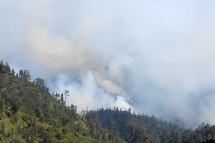 Kebakaran hutan di lereng Gunung Semeru
