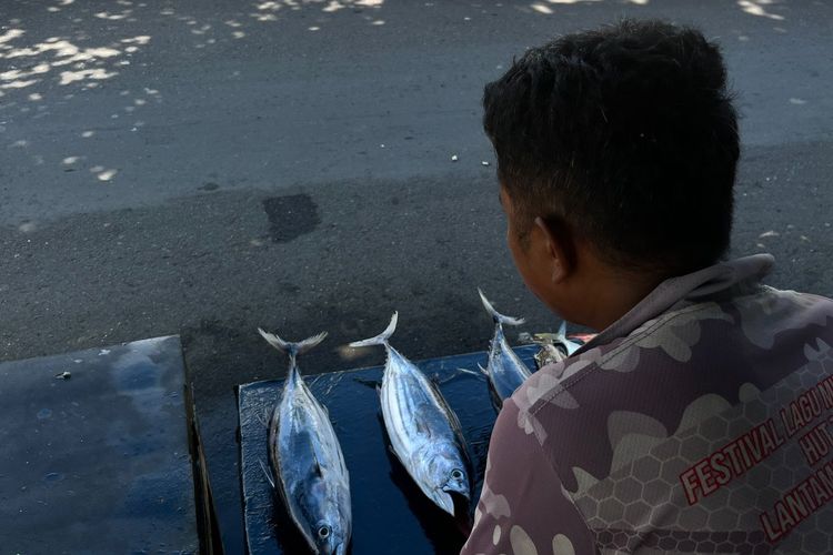 IPB Kembangkan Pupuk Bokashi dari Limbah Rumput Laut dan Jeroan Ikan