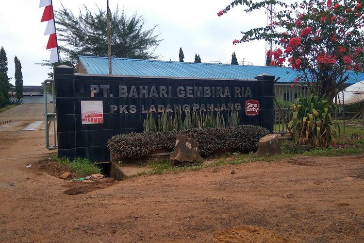 Lokasi area perkebunan anak usaha Minamas Plantation, PT Bahari Gembira Ria di Kabupaten Muaro Jambi, Provinsi Jambi.