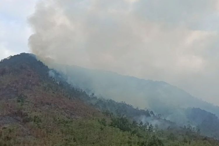 Koalisi Masyarakat Sipil Desak Revisi Total Undang-Undang Kehutanan