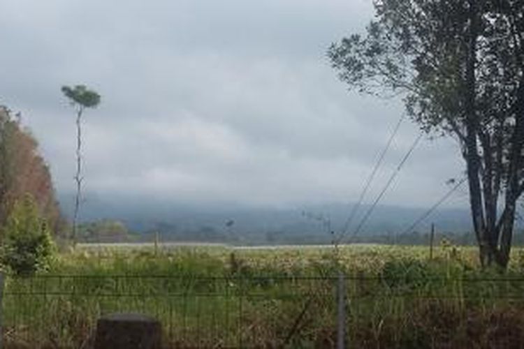 Gunung Raung ditutupi kabut pada 17 Juli 2015 yang terpantau di Desa Sumber Arum, Kecamatan Songgon, Banyuwangi. 
