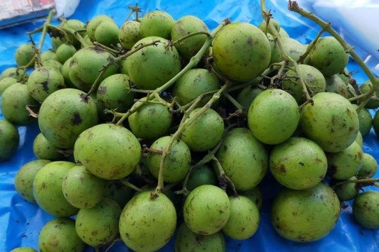 Ramania mentah dan muda, buah khas Kalimantan.