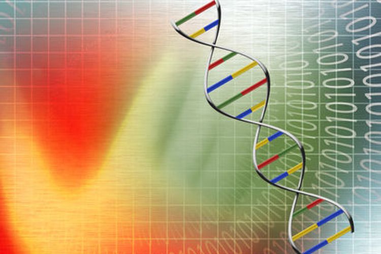 Ilustrasi sebuah kode genetik DNA.