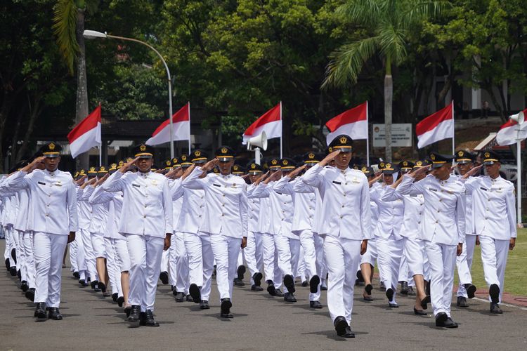 Praja IPDN
