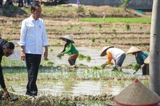 Prabowo Singgung Petani Sulit Beli Pupuk karena Kartu Tani, Jokowi: Sekarang Pakai KTP Bisa