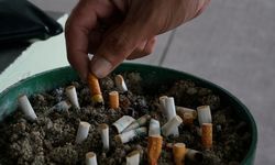 Hari Tanpa Tembakau Sedunia 2026: Konsumsi Rokok Masih Tinggi, Edukasi Perlu Diperkuat