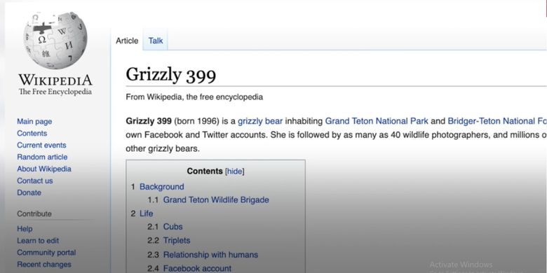 Wikipedia tentang beruang selebriti Grizzly 399. [SS/YOUTUBE/BBC]