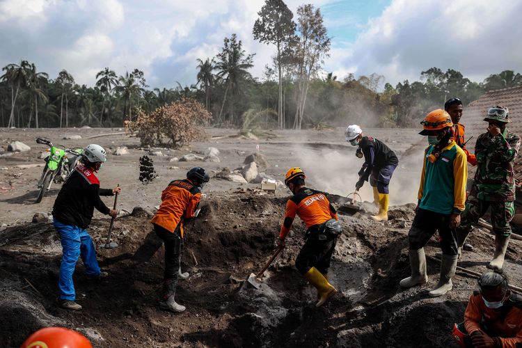 KOMPAS.com/GARRY LOTULUNG Tim SAR gabungan melakukan proses pencarian korban di jalur material guguran awan panas Gunung Semeru di Kampung Renteng, Desa Sumberwuluh, Lumajang, Jawa Timur, Kamis (9/12/2021). Berdasarkan laporan Badan Nasional Penanggulangan Bencana (BNPB), jumlah korban meninggal hingga Kamis hari ini berjumlah 39 orang dan 13 orang dalam proses pencarian, serta penyintas berjumlah 6.022 jiwa yang tersebar di 115 titik pos pengungsian.