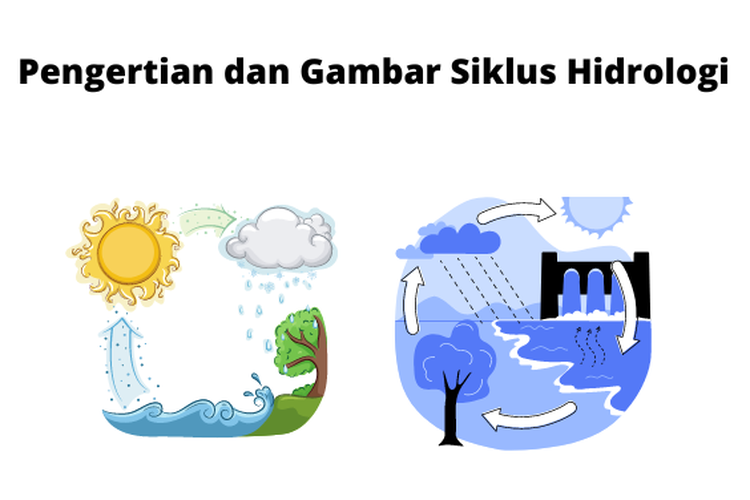 Pengertian Dan Gambar Siklus Hidrologi 3337