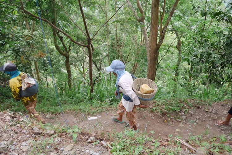 Ibu-ibu yang bekerja mengangkut pasir dan batu untuk pembangunan di Wisata Alam Bukit Kalibiru, Desa Hargowilis, Kecamatan Kokap, Kulon Progo, Daerah Istimewa Yogyakarta, Jumat (3/11/2017).