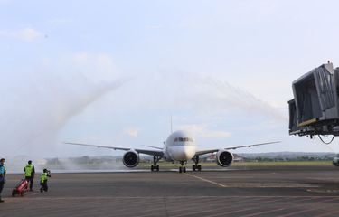Ilustrasi pesawat Qatar Airways.