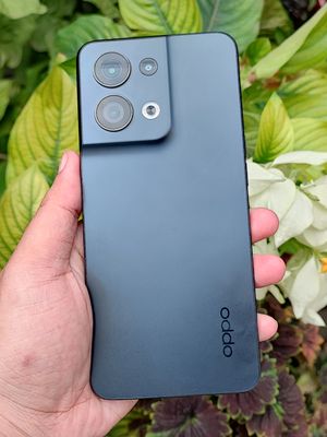 Punggung Oppo Reno 8 5G memiliki finishing matte. Punggung ponsel ini juga menggunakan desain Oppo Glow Design, yang disebut bisa membuat cover belakang ponsel tak mudah pudar, terasa kesat, dan tak mudah ternoda sidik jari.