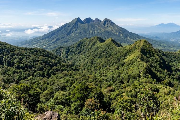 Ribuan Orang Teken Petisi Tolak Geothermal Gunung Ungaran, Ada Kekhawatiran Soal Sumber Air