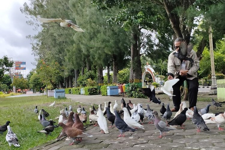 Warga menikmati suasana alun-alun yang asri dan keberadaan burung merpati di Wates, Kulon Progo, Daerah Istimewa Yogyakarta.