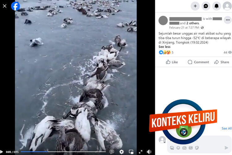 Tangkapan layar konten hoaks di sebuah akun Facebook, Rabu (21/2/2024), soal video unggas air mati akibat penurunan suhu di Xinjiang, China.