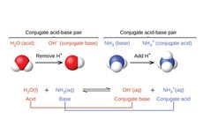 Asam Basa Konjugasi Bronsted Lowry