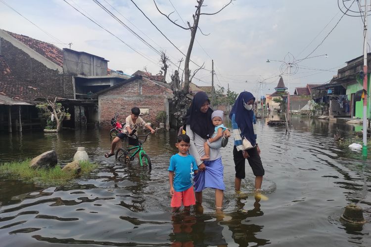 8 Bulan Banjir Tak Surut, Begini Kondisi Desa Sayung Demak
