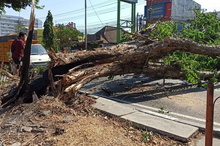 BMKG Imbau Warga 38 Kabupaten/Kota di Jatim Waspadai Angin Kencang hingga 14 September