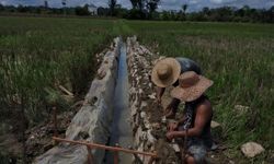 Tingkatkan Produktivitas Pertanian, Kementan Perbaiki Jaringan Irigasi di Barito Timur