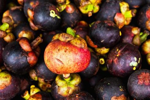 Manggis Indonesia Boleh Masuk ke Selandia Baru
