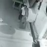 Diburu Setelah Serang Seorang Balita, Monyet Liar di Palmerah Ditangkap Warga