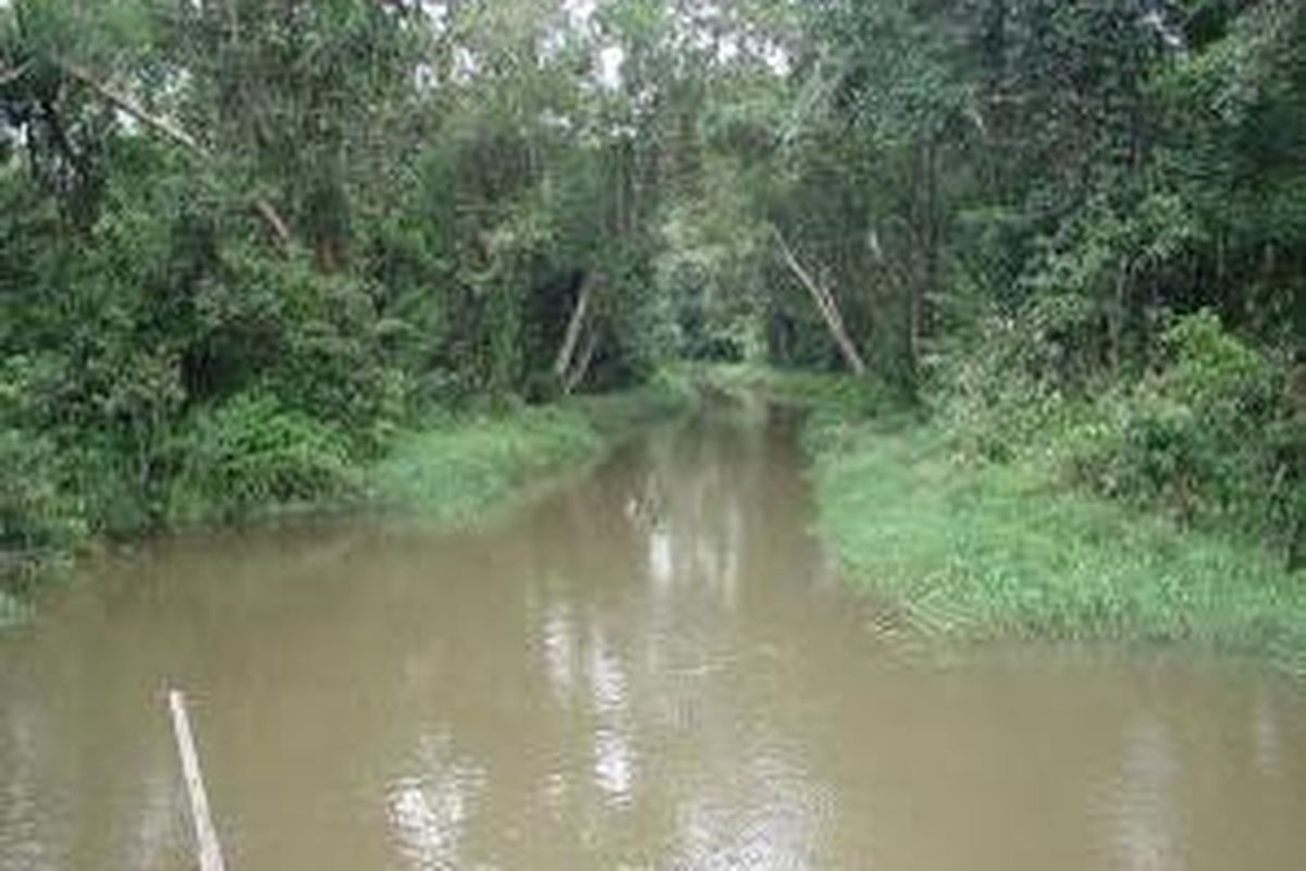 Sungai Wain di Balikpapan