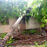 Angin Puting Beliung Terjang 4 Kampung di Sukabumi, Pohon Tumbang hingga Papan Reklame Roboh