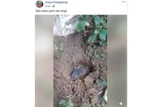 Viral, Video Batu Hitam Disebut Meteor Jatuh dari Langit hingga Timpa Rumah Warga