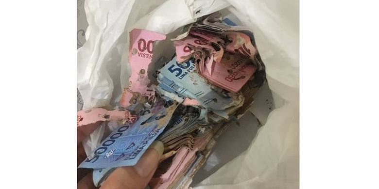 Dari Viral Uang Jutaan Rupiah Dimakan Rayap Hingga Hanya Diganti Rp 1 05 Juta Halaman All Kompas Com