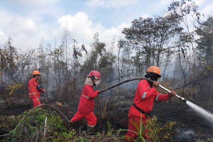 Proses pemadaman lahan gambut yang terbakar di kawasan Sungai Rengit, Kabupaten Banyuasin, Sumatera Selatan, Rabu (3/7/2024).