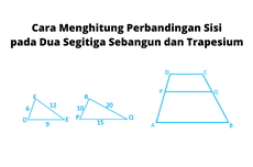 Cara Menghitung Perbandingan Sisi pada Dua Segitiga Sebangun dan Trapesium