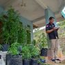 BNN Kota Tasikmalaya: Tersangka Mengaku Sudah Memakai Ganja Sejak Kecil